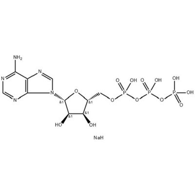 アデノシン 5'-トリホスファターゼ、二ナトリウム塩 (ATP-2Na);CAS NO.: 987-65-5